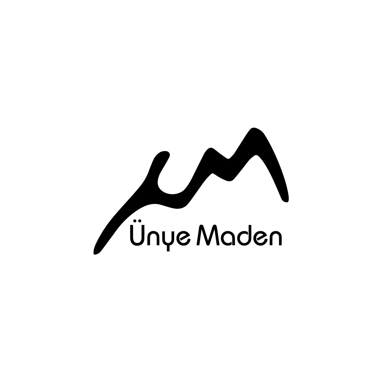 ÜNYE 