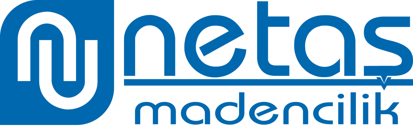 NETAŞ