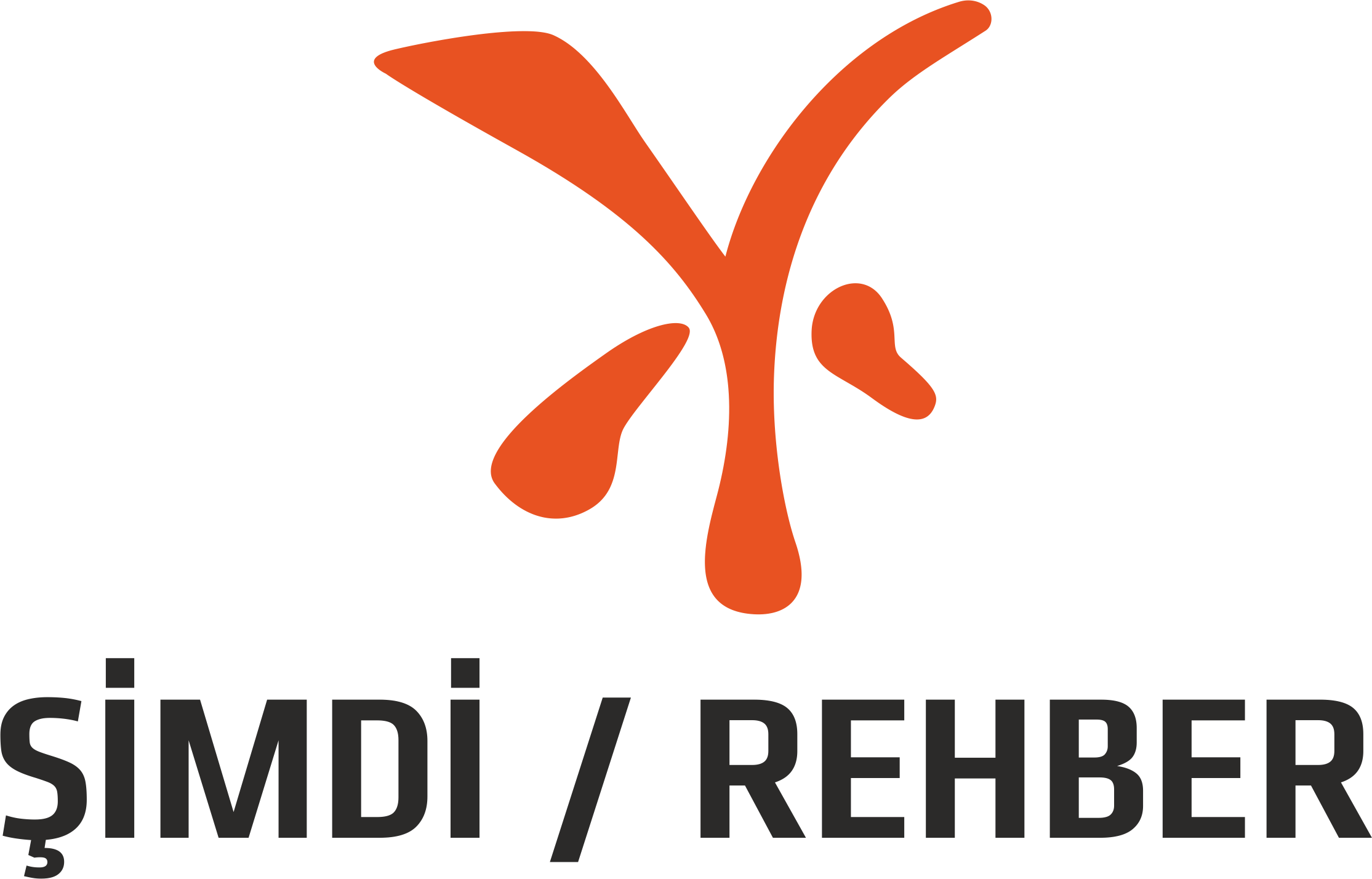 ŞİMDİ REHBER 